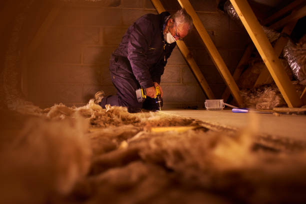 Best Commercial Insulation Services  in Crystal, MN